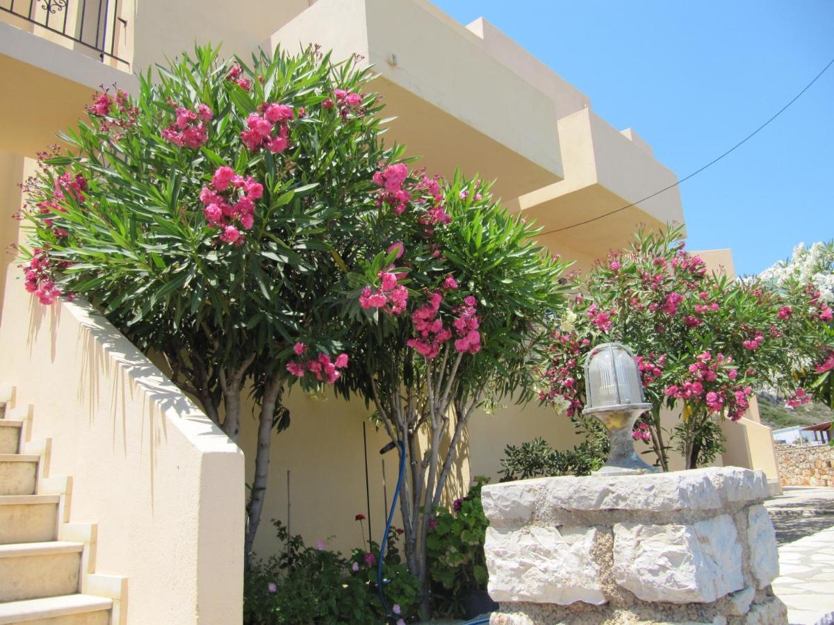 Eugenia Travasarou Sea View Appartments Diakofti 外观 照片